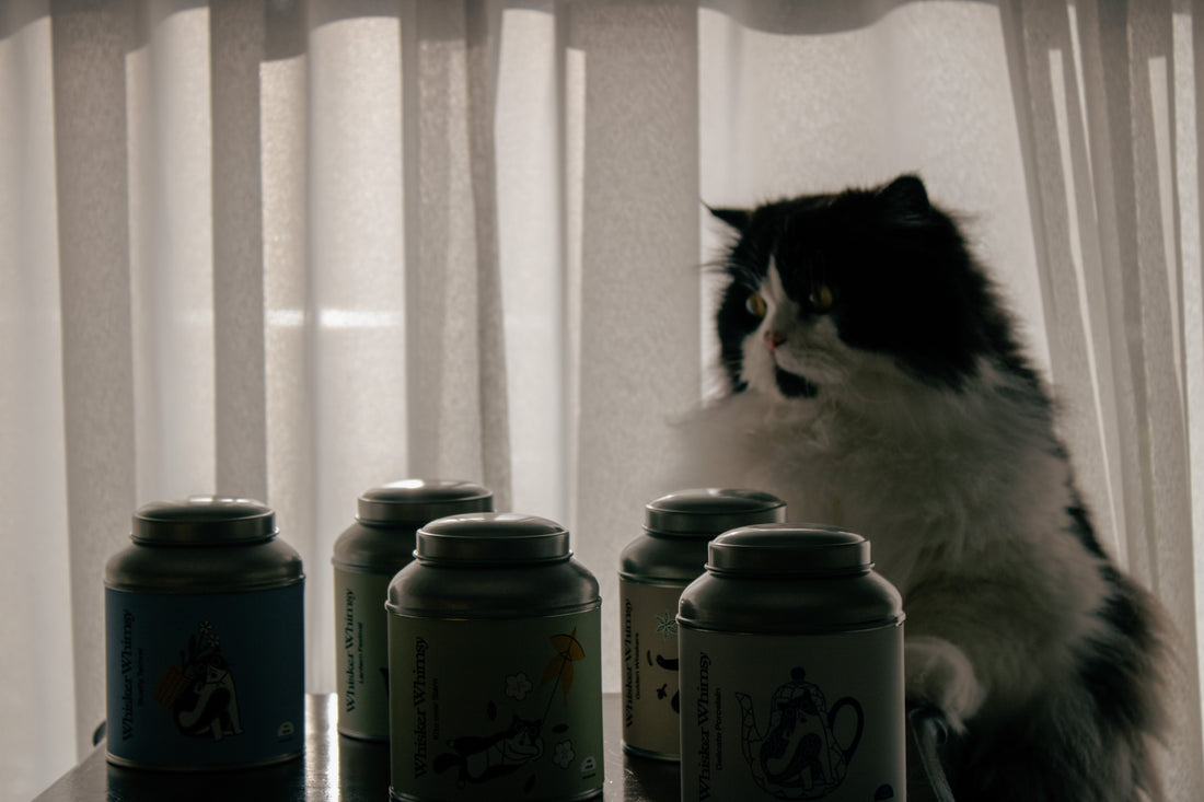 Why We Started Whisker Whimsy: Our Journey Into Specialty Tea